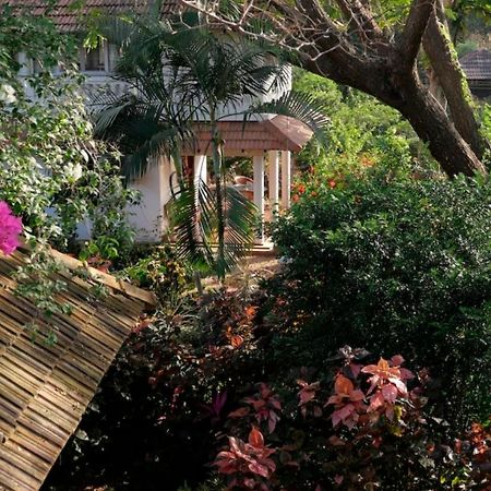Gaia's Garden Guest House Auroville Buitenkant foto