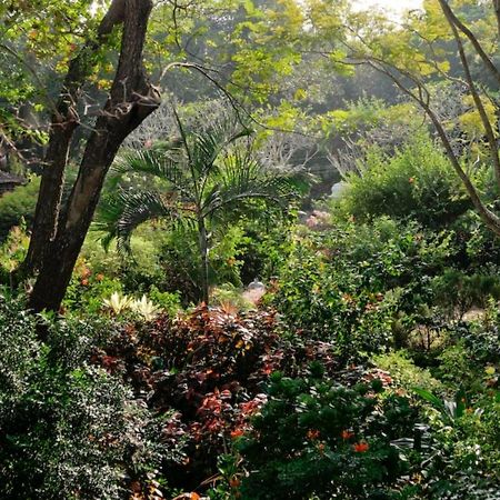 Gaia's Garden Guest House Auroville Buitenkant foto