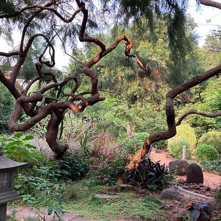 Gaia's Garden Guest House Auroville Buitenkant foto