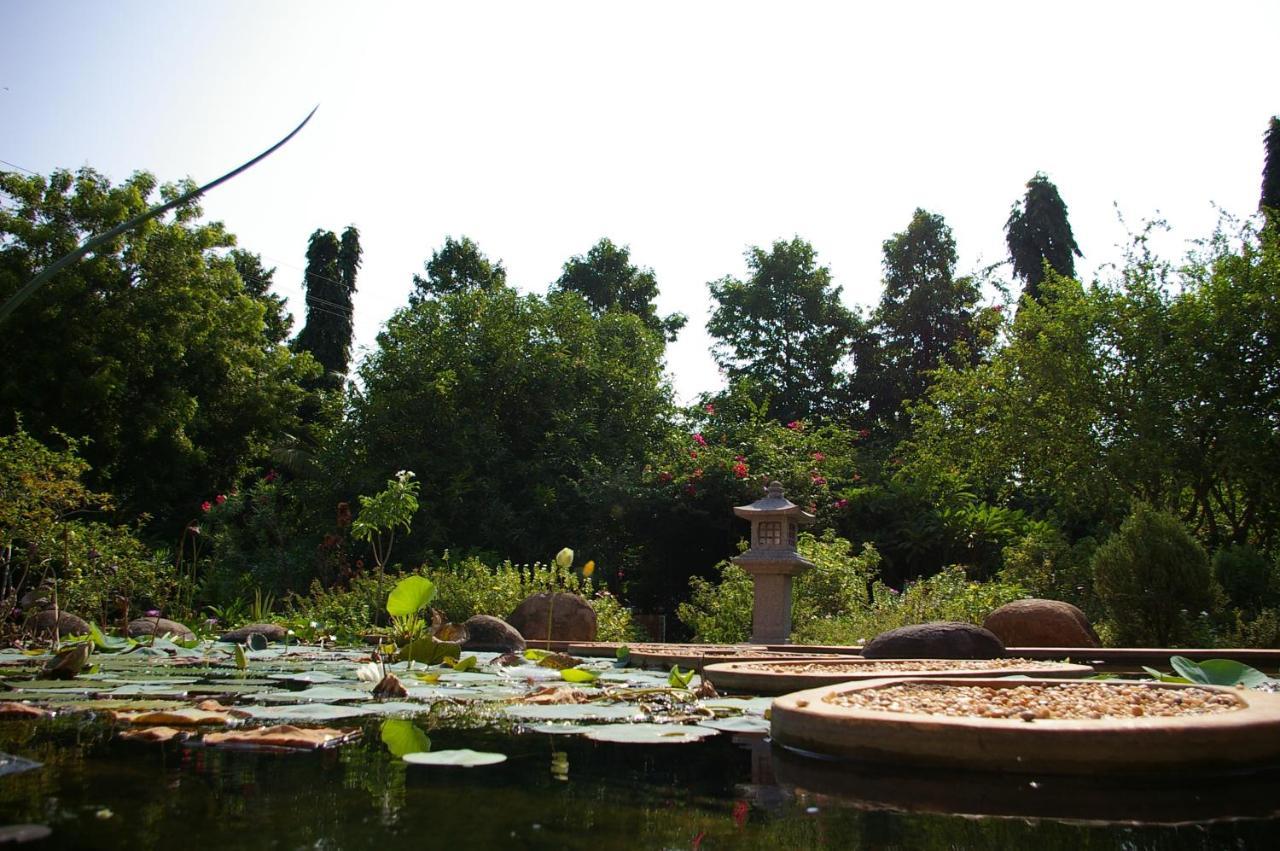 Gaia's Garden Guest House Auroville Buitenkant foto