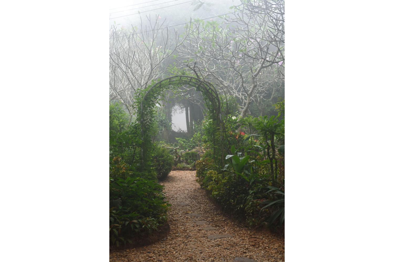Gaia's Garden Guest House Auroville Buitenkant foto