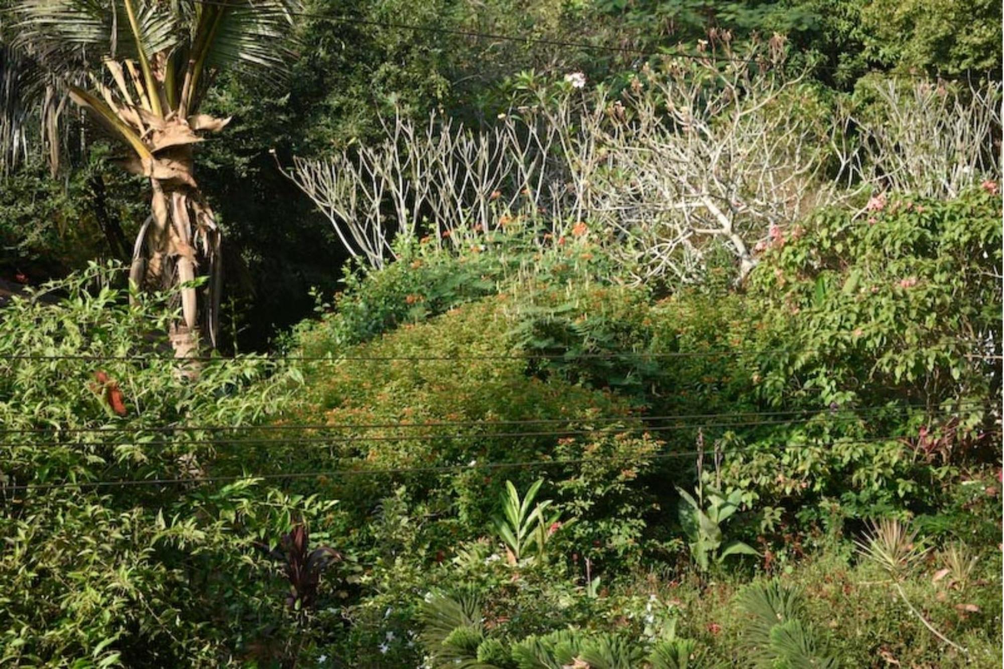 Gaia's Garden Guest House Auroville Buitenkant foto