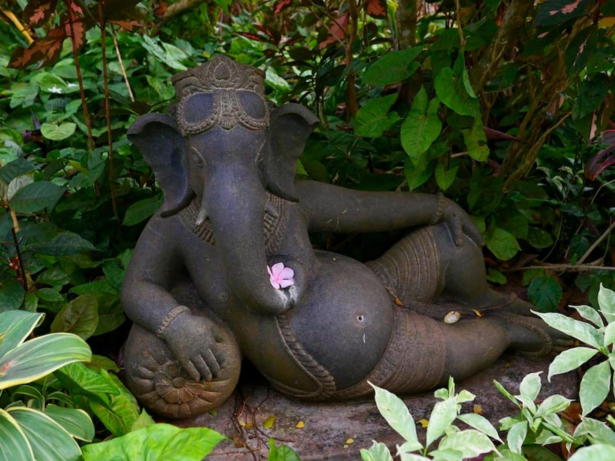 Gaia's Garden Guest House Auroville Buitenkant foto