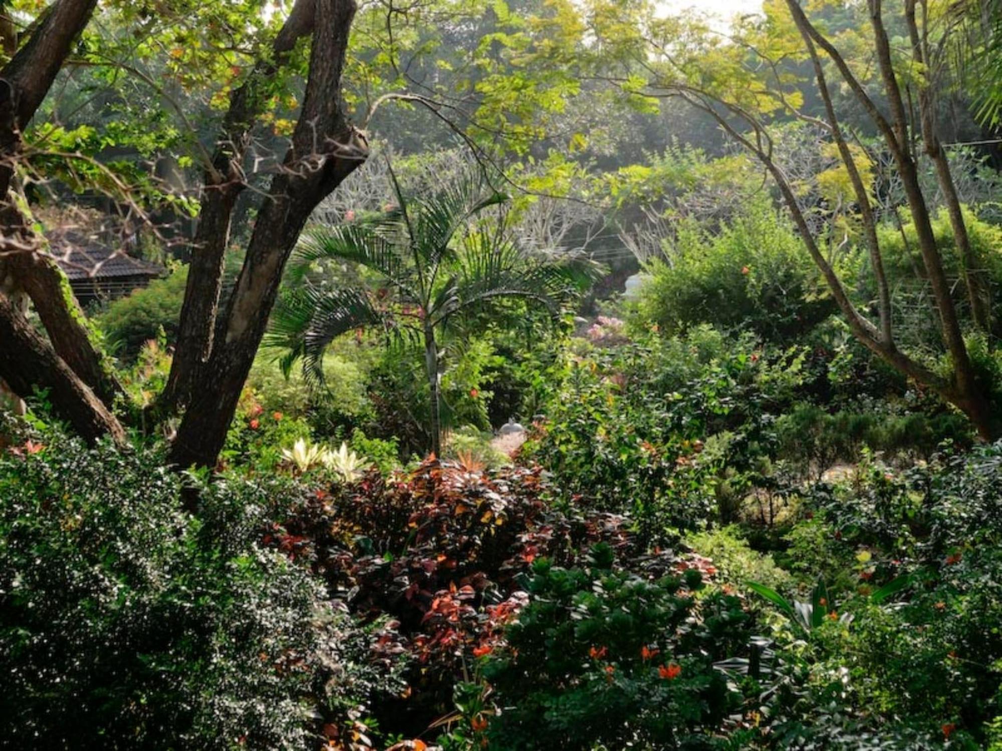 Gaia's Garden Guest House Auroville Buitenkant foto