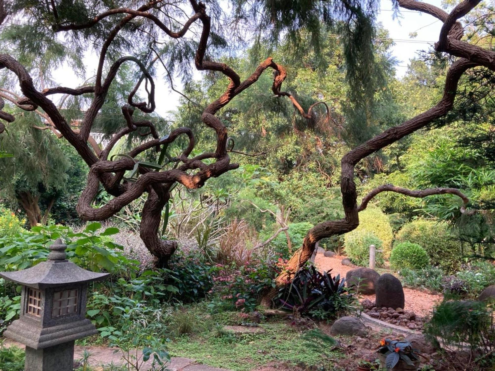 Gaia's Garden Guest House Auroville Buitenkant foto